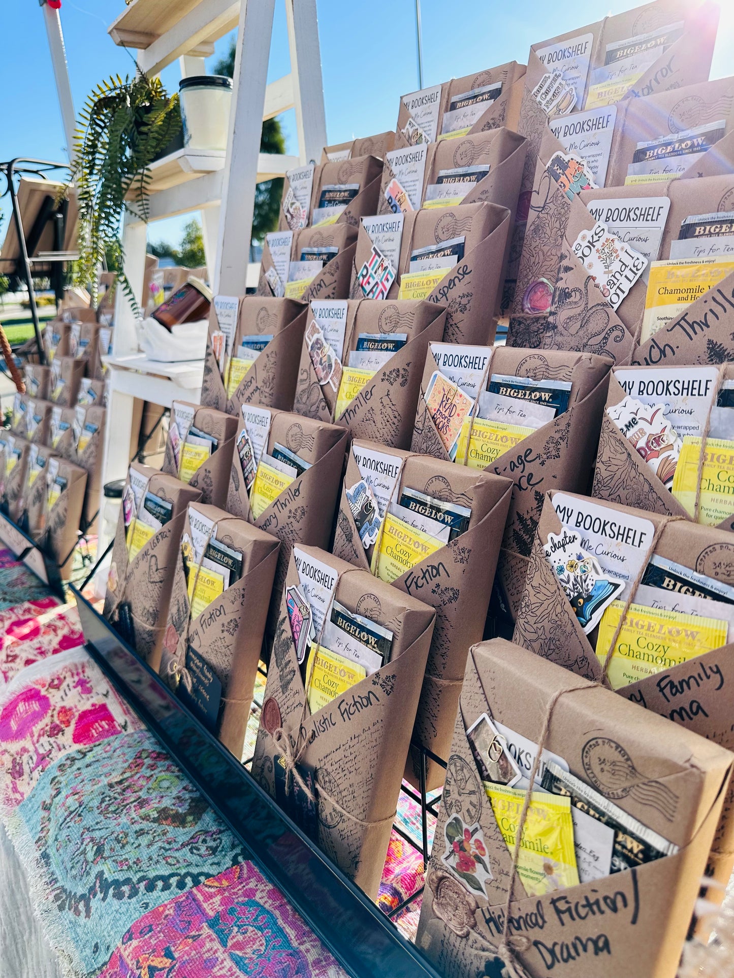 Cover Me Curious Mystery Book